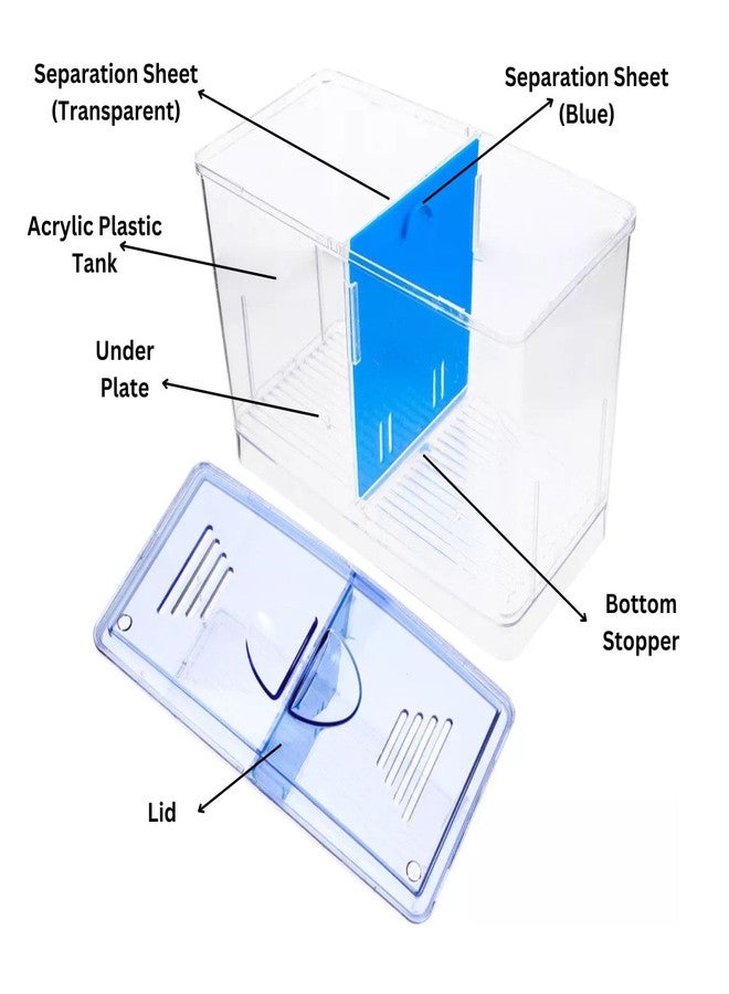 حوض أسماك بيتا من دوفين BT104 | مثالي لأسماك البيتا والأسماك الصغيرة وتربية النباتات | السعة: 1 لتر | (أصلي من متجر توناي) - Image 3